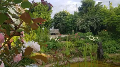 Ein Garten an der Unterkunft Wohnung mit Sauna, Garten & Schwimmteich