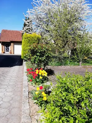 Ein Garten an der Unterkunft Ferienappartement Obrigheim