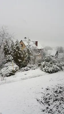 Idyllische Wohnung mitten in der Natur „ Haus Magnolia „ im Winter