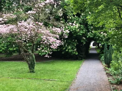 Ein Garten an der Unterkunft Hotel Büchner Garni