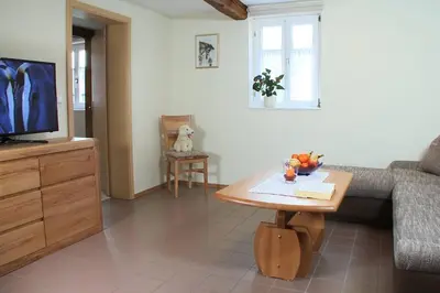 TV/Unterhaltungsangebot in der Unterkunft Ferienwohnung Alte Hütte