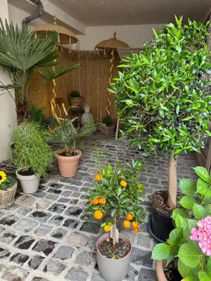 Ein Garten an der Unterkunft Gemütlich & einzigartig: Altbauloft in Edenkoben
