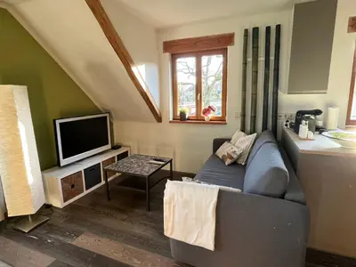 TV/Unterhaltungsangebot in der Unterkunft Ferienwohnung im Geyserhof