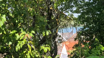 Naturlandschaft in der Nähe der Ferienwohnung