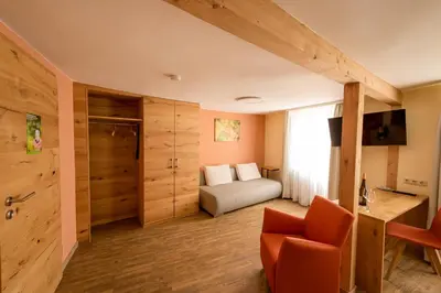 TV/Unterhaltungsangebot in der Unterkunft Weingut & Gästehaus Julianenhof