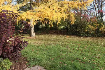 Ein Garten an der Unterkunft Ferienhaus Robinson Romantikpfad 161