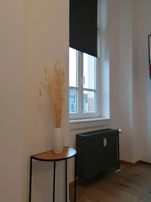 TV/Unterhaltungsangebot in der Unterkunft Business Apartment mit neuem Bad / WLAN / Smart-TV / Küche