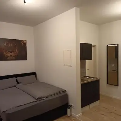 Business Apartment mit neuem Bad / WLAN / Smart-TV / Küche