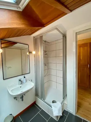 Ein Badezimmer in der Unterkunft Gemminger Gasthaus