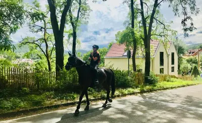Reiten in der Ferienwohnung oder in der Nähe