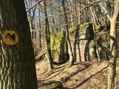 Naturlandschaft in der Nähe der Ferienwohnung