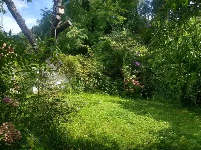 Ein Garten an der Unterkunft Ruhige 4-Zi-Wohnung mit großem Balkon und Blick ins Grüne