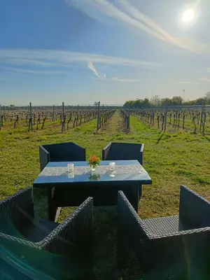 Grundriss der Unterkunft Herzlich inmitten der Weinreben