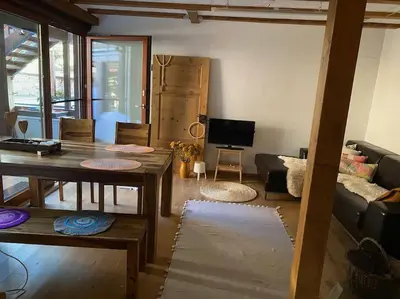 TV/Unterhaltungsangebot in der Unterkunft Einzimmerapartment mit Fass Sauna (und Pool)