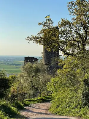 Naturlandschaft in der Nähe der Ferienwohnung