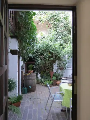Ein Garten an der Unterkunft Im Alten Kaufhaus