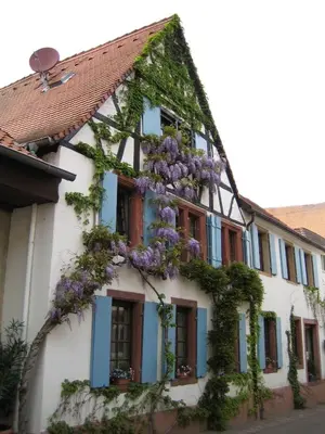 Das Gebäude in dem sich die Ferienwohnung befindet
