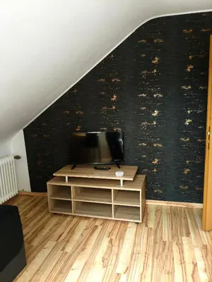 TV/Unterhaltungsangebot in der Unterkunft Bew Penthouse - 4-Zimmer und Terrasse