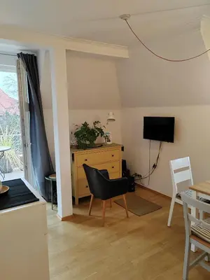 TV/Unterhaltungsangebot in der Unterkunft Apartment Villarosa