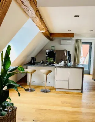 Küche/Küchenzeile in der Unterkunft Apartment am Schlosshof
