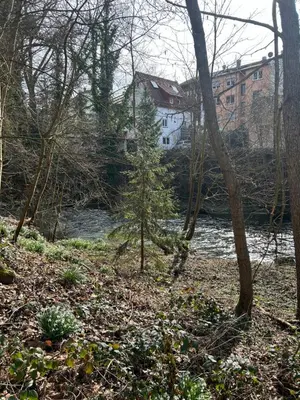 Naturlandschaft in der Nähe der Villa