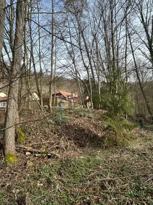 Naturlandschaft in der Nähe der Villa