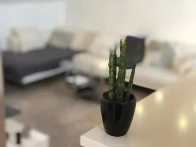 Ein Sitzbereich in der Unterkunft Caleva’s BnB