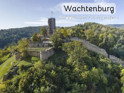 Naturlandschaft in der Nähe der Ferienwohnung