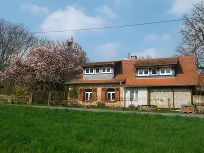 Ein Garten an der Unterkunft Ferienhaus mit Garten im Odenwald zu vermieten