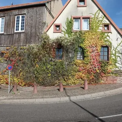Südpfalz