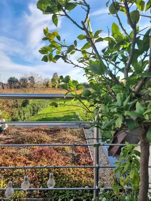 Grundriss der Unterkunft PalatinaZeit - WEINblick - Ferienwohnung im Haus Petry - Freinsheim - Pfalz