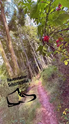 Naturlandschaft in der Nähe der Ferienwohnung