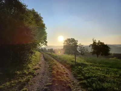 Naturlandschaft in der Nähe der Ferienwohnung