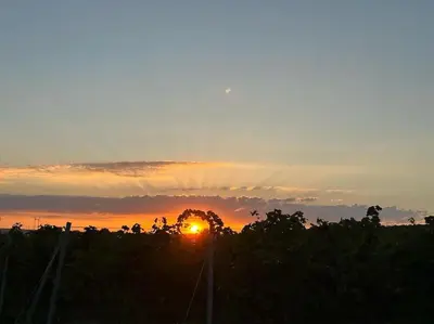 Blick auf den Sonnenuntergang/Sonnenaufgang von des Ferienhauses aus oder aus der Nähe
