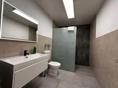 Ein Badezimmer in der Unterkunft Premium Apartments Schwetzingen, Heidelberg, Speyer