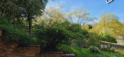 Ein Garten an der Unterkunft Ferienwohnung am Panoramaweg