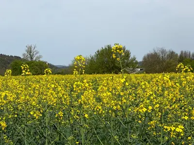 Naturlandschaft in der Nähe des Hotels