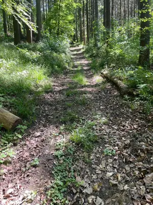 Naturlandschaft in der Nähe des Hotels