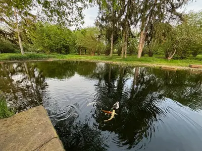 Naturlandschaft in der Nähe der Ferienwohnung