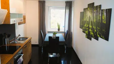 Küche/Küchenzeile in der Unterkunft Möblierte Wohnung Nähe BASF Ludwigshafen/Mannheim mit Privatparkplatz