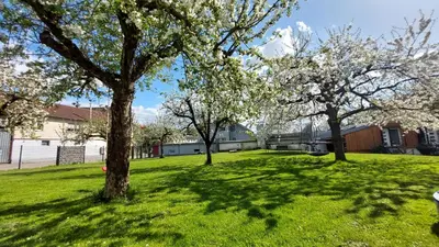 Ein Garten an der Unterkunft Ferienwohnung Zur Hofreite 6