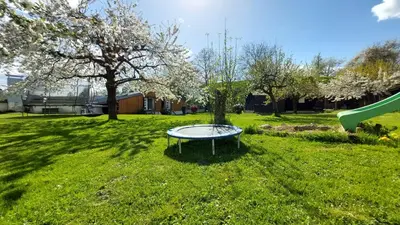 Ein Garten an der Unterkunft Ferienwohnung Zur Hofreite 6