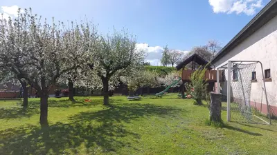 Ein Garten an der Unterkunft Ferienwohnung Zur Hofreite 6