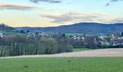 Naturlandschaft in der Nähe der Ferienwohnung