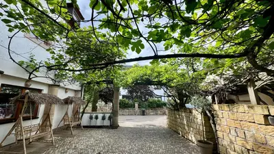 Ein Garten an der Unterkunft Design Apartment im Schlossareal Deidesheim