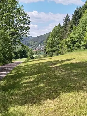 Naturlandschaft in der Nähe der Ferienwohnung