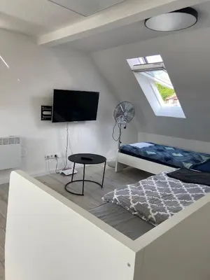 TV/Unterhaltungsangebot in der Unterkunft Angenehme Rooftop Suite in Unterheinriet