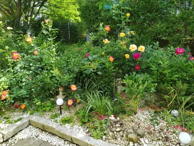 Ein Garten an der Unterkunft Apartment Hercules