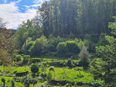 Naturlandschaft in der Nähe der Ferienwohnung