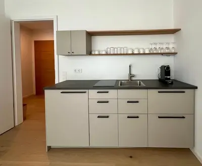Küche/Küchenzeile in der Unterkunft Schickes 2-Zi-Apartment am Neckarufer im BUGA-Park